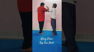 Wing Chun 🤛⛩ Lap Sau Drill wingchun martialarts india viralshorts viralvideo training [upl. by Ahsiekan363]