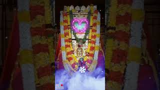 sri raghavendra swamy devotional songs sorts devotionalsongs whatsappstatus [upl. by Slade113]