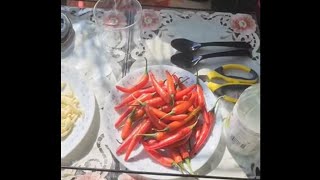 Red Chilli and Garlic Picklein mithi mithi dhup tzfoodandlife [upl. by Dust]