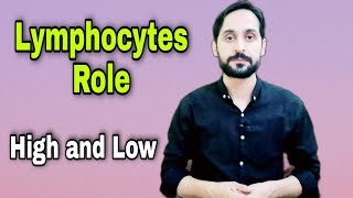 What is Lymphocyte  Role of Lymphocytes [upl. by Adham]