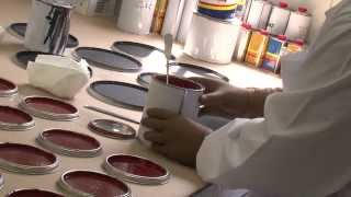 ILPA Chemicals in harmony with nature Corporate Video  English [upl. by Nwahshar]