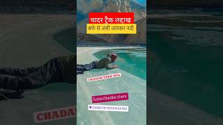 बर्फ से जमी जांस्कर नदी पर ट्रैक  chadar Trek Ladakh  chadar Trek viral shorts chadartrek [upl. by Aiam]