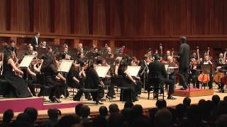 Brahms Symphony No 4  1st Movement [upl. by Annalee]