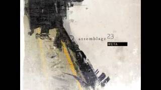 Assemblage 23  Damaged [upl. by Critta561]