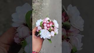 Clerodendrum Chinense shorts plants flowers gardening viral trending [upl. by Milford]