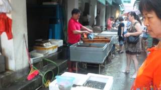 Amazing food market in FoshanChina part 2 [upl. by Cirted]