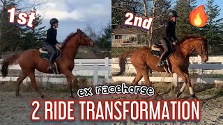 Ex Racehorse 2 Ride Transformation Talk Thru Ride Analysis [upl. by Olaf715]