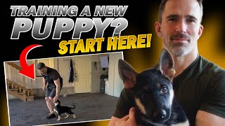 First Step to Training Your New Puppy [upl. by Storfer]