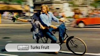 Toots Thielemans  Turks Fruit Coverband Lynx [upl. by Fredia]