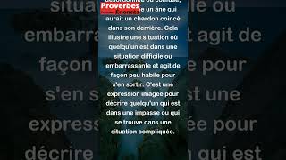 Proverbe Belge  Il se débat comme un âne qui a une tête de chardon dans le derrière shorts [upl. by Imoyn]