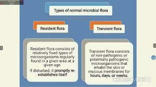 Normal microflora of humans I Skin microflora I Conjunctiva I Urogenital tract I Audio [upl. by Amrac24]