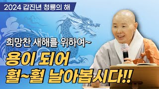 갑진년 청룡의 해 우리 모두 용이 되어 훨훨 날아봅시다 │정각사 일요법회 [upl. by Mccowyn196]