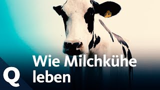 Aptamil Kindermilch  Gemeinsame Milchmomente für ein starkes Immunsystem [upl. by Diarmit]