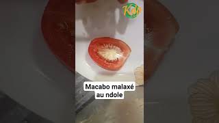 comment faire le macabo malaxé au ndole [upl. by Thorndike]