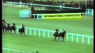 1977 St Leger Stakes [upl. by Watt]