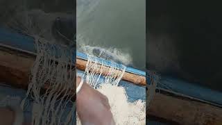 fishing fiish fish filefish carpfishing fiahing beachfishing carp fihing relax [upl. by Darraj]