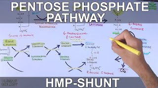 Pentose Phosphate Pathway  Hexose Monophosphate Shunt [upl. by Corbet300]