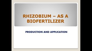 Rhizobium as a biofertilizer its production and application [upl. by Gertrudis709]