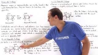 Glycosidic Bonds and Nonreducing Sugars [upl. by Gerbold]