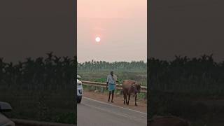 Baana Daariyalli  Puneeth Rajkumar  Bhagyavanta kannadasongs [upl. by Adeehsar]