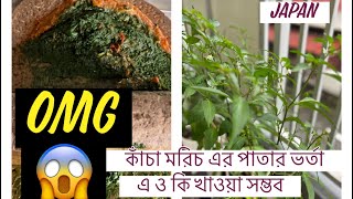 OMG morich patar vorta e o ki khawya somvobএতো স্বাদ ক্যা রে।hello Japan vlogger [upl. by Namharludba]