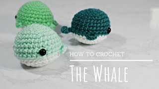 How To Crochet  Easy Beginners Amigurumi Whale Tutorial [upl. by Bobker]