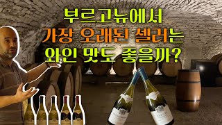 부르고뉴 최고령 셀러 샷또 드 뫼르소 와이너리 투어Chateau de Meursault Winery Tour 부르고뉴여행 [upl. by Hakan]