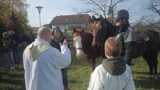 Traditioneller Austritt Leonhard ist quotRossheiligerquot [upl. by Notsruht]