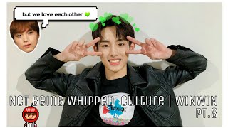 NCT being whipped culture  WinWin pt3 [upl. by Aiepoissac86]