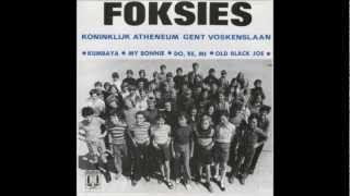 De Foksies  Old black Joe [upl. by Legna866]