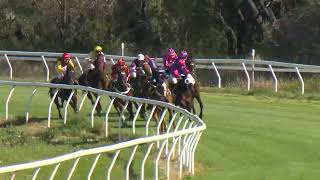 Goondiwindi 20240907 Race 3 [upl. by Assira]