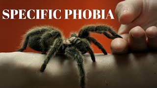 SPECIFIC PHOBIA  what causes a specific phobia [upl. by Cleodell836]