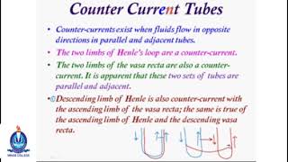 Lec09 Counter Current Mechanism [upl. by Lupita950]