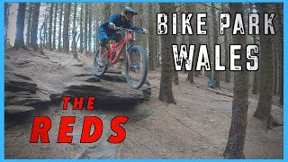 Bike Park Wales  The RED Mtb Trails [upl. by Jamel]