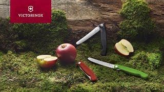 Victorinox  Swiss Classic Picnic Knife [upl. by Florin]