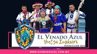 El Venado Azul  Te soñé Yutsi Imikieri 2019 [upl. by Seward]