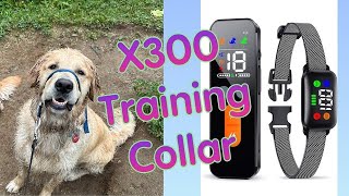 New Dog Training Collar  X300 test and review [upl. by Asoral]