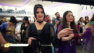 Imad Selim  Nihat amp Jihan  Part05 Deluxe Event  Kurdische Hochzeit by DilocanPro [upl. by Navy]