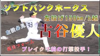 ソフトバンクホークス 古谷優人 プロ野球キャンプ 豪速球左腕 左投必見！ブレイク寸前！ [upl. by Aihtela979]