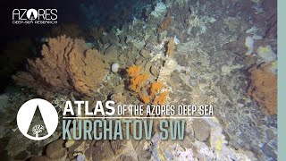 Kurchatov SW seamount  ATLAS of the Azores deep sea [upl. by Ignacio782]