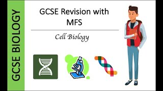 GCSE Biology Chromosomes and Mitosis Exam Questions [upl. by Rattray]