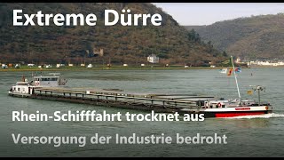 Extreme Dürre  RheinSchifffahrt trocknet aus – Versorgung der Industrie bedroht [upl. by Ykcim196]