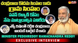 Minister Peddireddy Ramachandra Reddy Comments On Punganur Issue  Chandrababu SakshiTVLIVE [upl. by Annerol799]