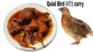 bater bird 🐦recipe  quail bird recipe  bater curry 🍛bageri bird recipe  bater banane ka tarika [upl. by Cattier]