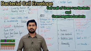 64 Bacterial Cell Envelope  Bacterial Cell wall and Gram staining by Irtisamsbiology [upl. by Barbaraanne]