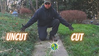 Landscape Like a Pro How to cut LiriopeMonkey Grass back for the spring time [upl. by Samuella]