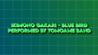 Ikimono Gakari  Blue Bird Performed by TomoameBand at Motion Hikari Festival [upl. by Laine]