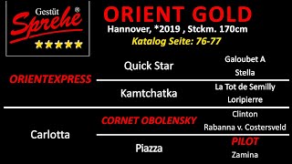 Orient Gold v Orientexpress  Cornet Obolensky  Pilot  Zeus [upl. by Atiuqram]