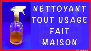 Comment Faire un Nettoyant MultiUsages au Citron amp Vinaigre  Recette Maison [upl. by Eseerehs]