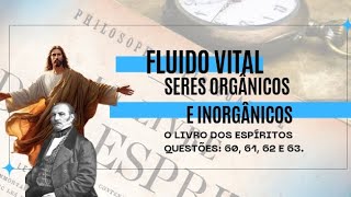 FLUIDO VITAL  SERES ORGÂNICOS E INORGÂNICOS  FÁBIA FERRAZ [upl. by Kalb]